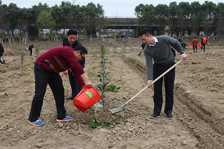 播種綠色希望 共建美麗家園.jpg